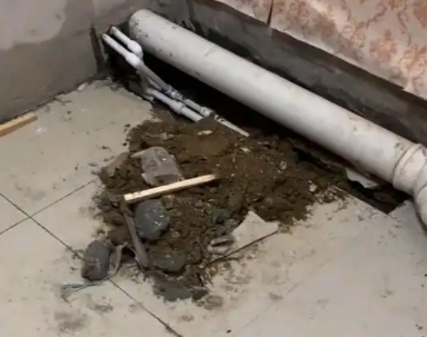 环江卫生间漏水检测哪家好