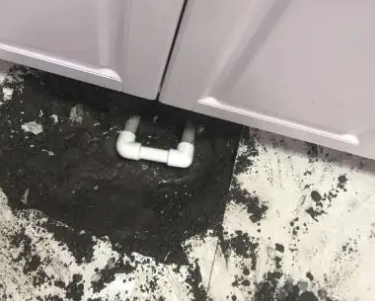 环江查漏水哪家好